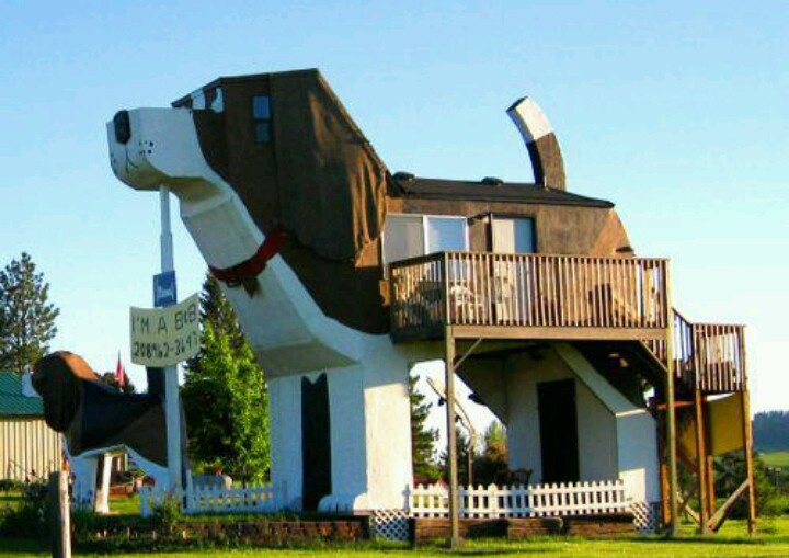 Отель Dog Bark Park Inn в Айдахо